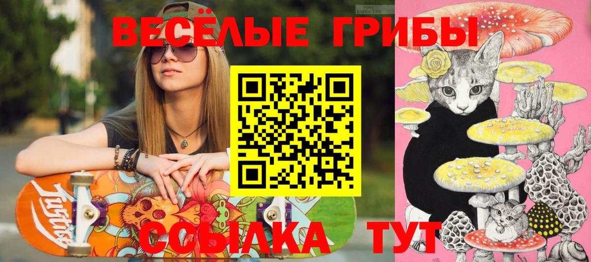 Галлюциногенные грибы MAGIC MUSHROOMS  Вход с VPN  Белово 